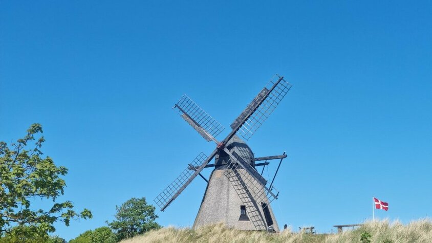 Eine historische Windmühle erhebt sich über eine mit Dünen bewachsene Anhöhe. Daneben weht die dänische Flagge unter strahlend blauem Himmel.