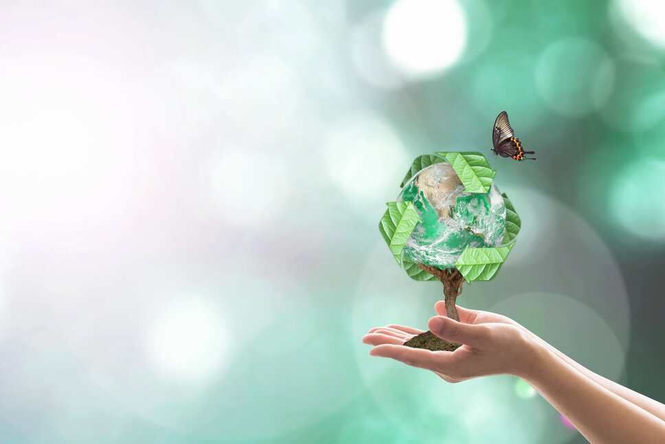 Business Ethics and Compliance - Environmental Protection Hands hold a tree whose branches represent the Earth globe against a bright background. Above the tree, a recycling symbol is visible, and a butterfly is flying towards it, symbolizing a harmonious connection between nature and sustainability. In the business ethics of weba Werkzeugbau, this image represents the company’s sustainability and environmental protection initiatives.