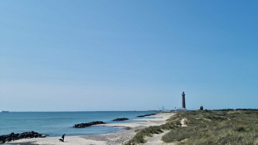Ein sandiger Küstenpfad schlängelt sich durch grasbewachsene Dünen in Richtung eines Leuchtturms an der dänischen Nordspitze. Das ruhige Meer und der blaue Himmel unterstreichen die friedliche Atmosphäre.